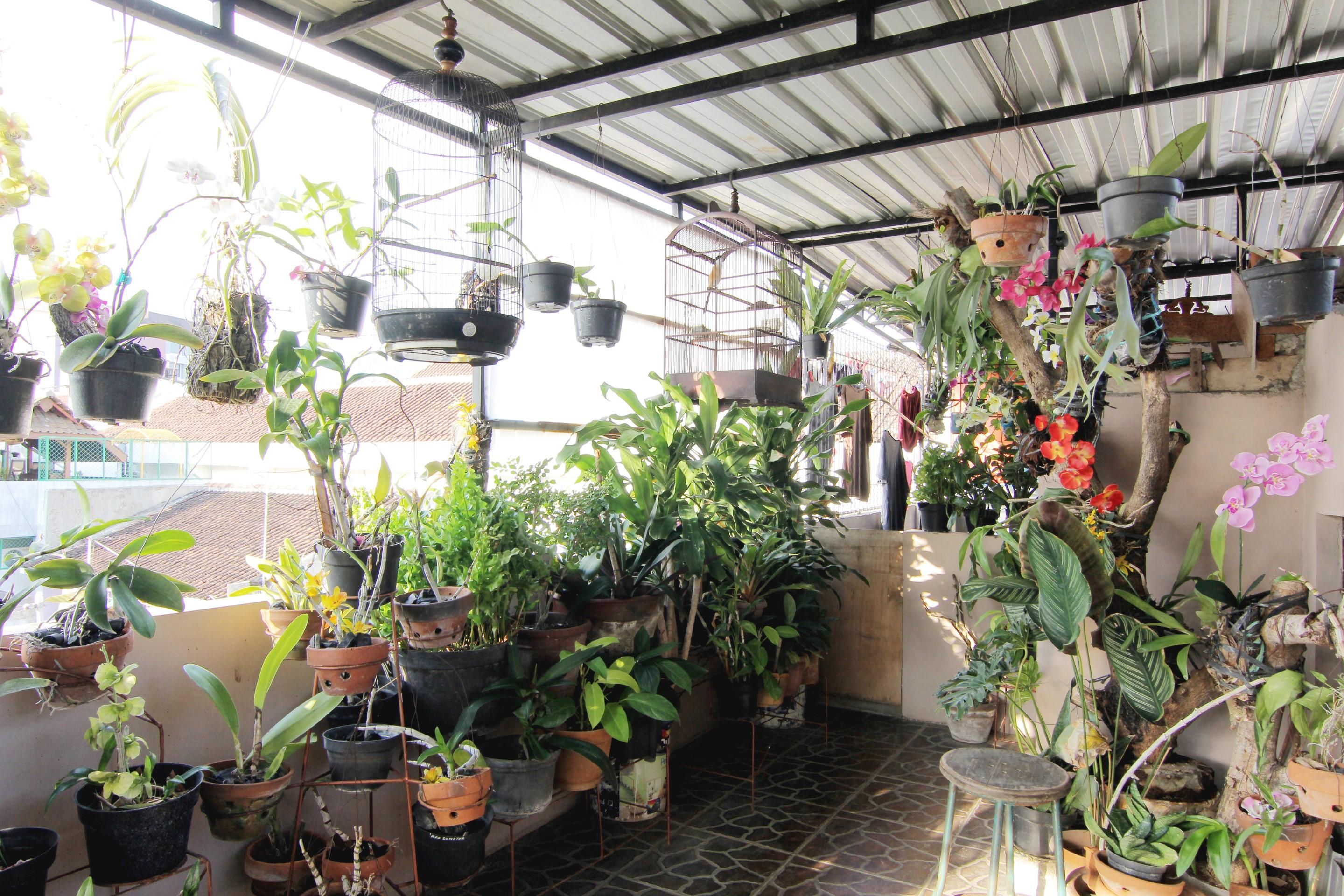 Wanderlust Homestay Jogjacarta Exterior foto